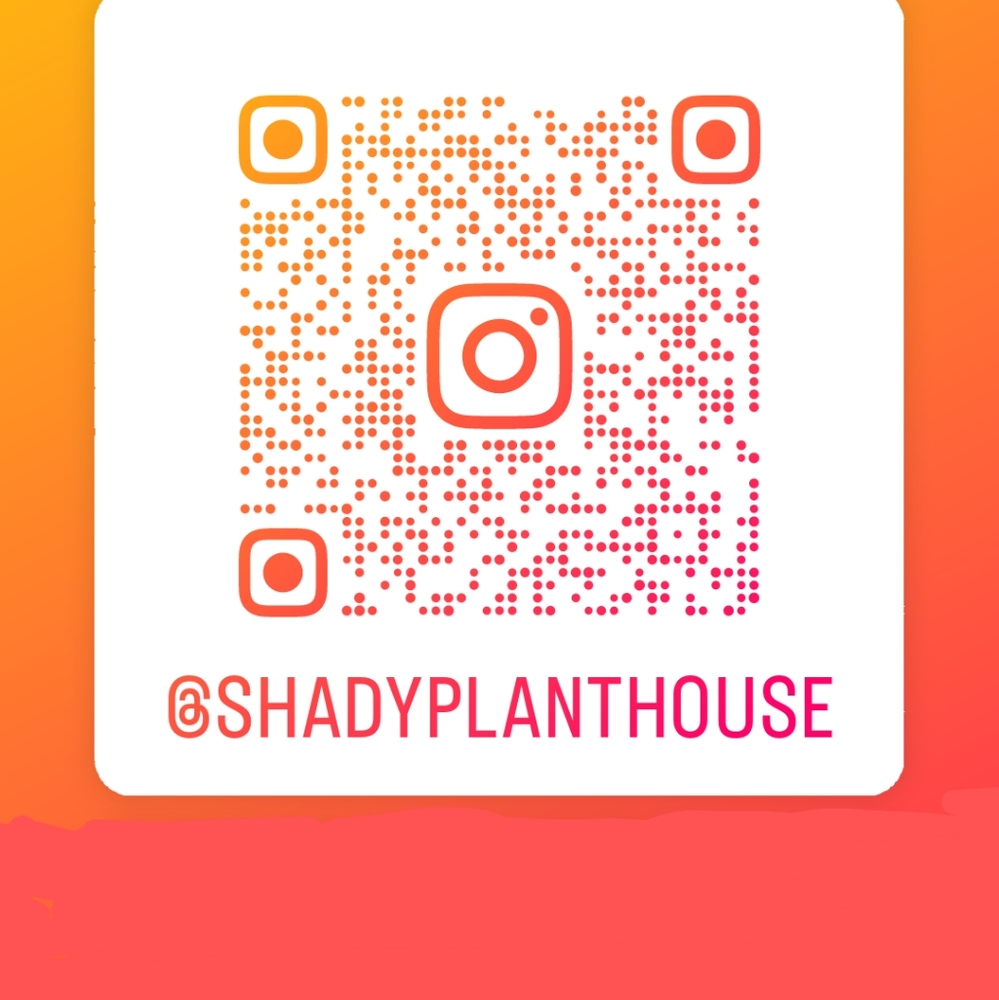 Join me on Instagram